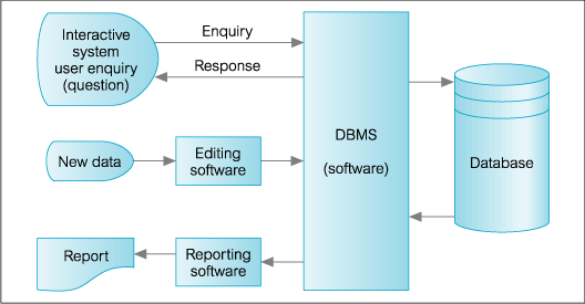 database management system (DBMS)